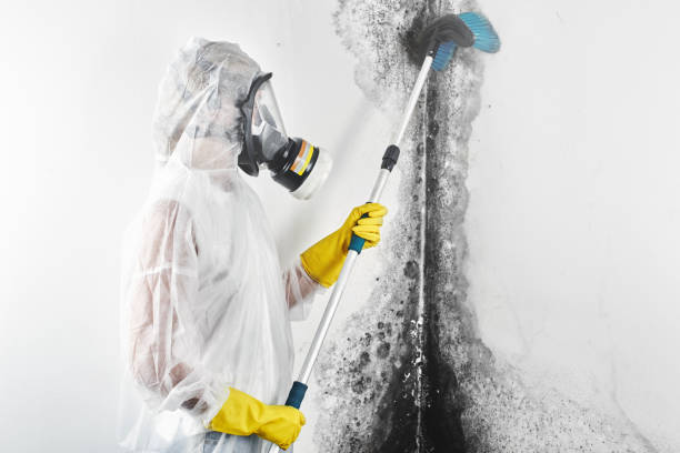 Best Indoor Air Quality Assessment  in Beavercreek, OR