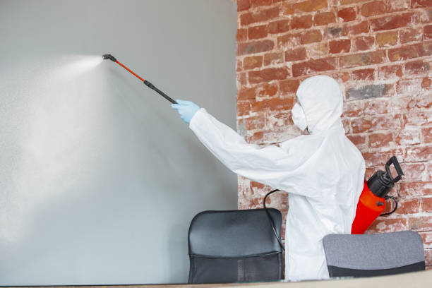 Best Comprehensive Air Testing for Mold Contaminants  in Beavercreek, OR
