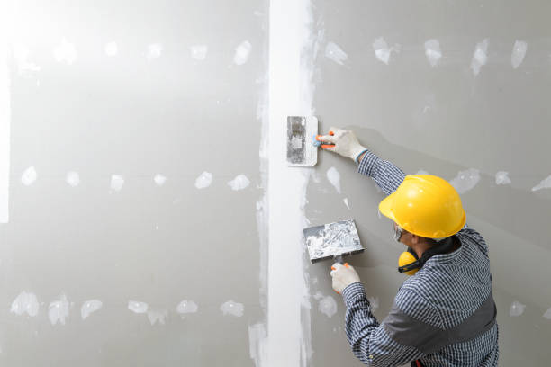 Best Mold Odor Removal Services  in Beavercreek, OR